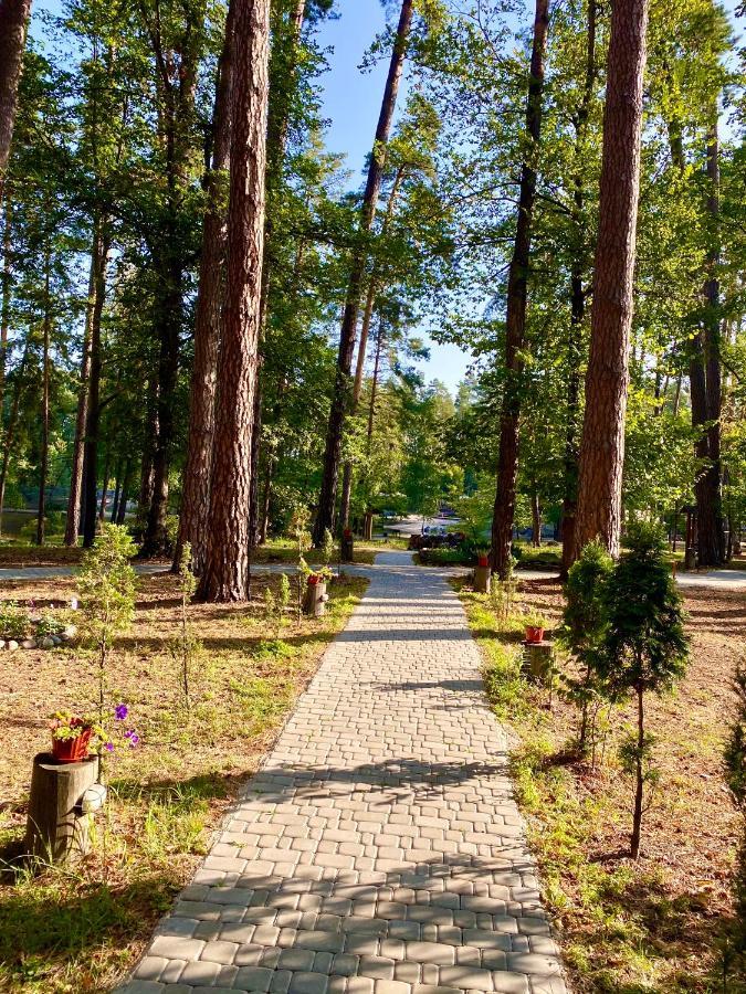 Resort Stariy Prud Pylypovychi Exterior foto